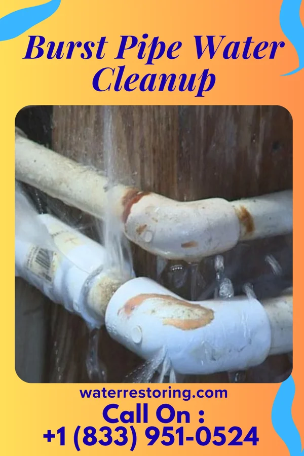 Burst Pipe Water Cleanup in Riddleville, GA